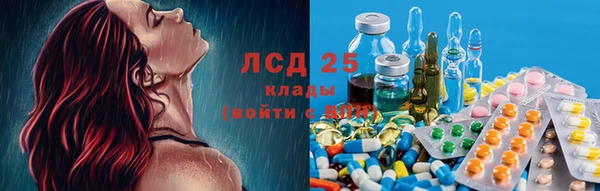 индика Беломорск