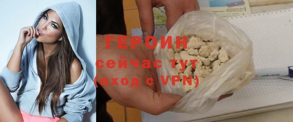 индика Беломорск