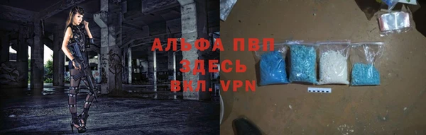 ГАЛЛЮЦИНОГЕННЫЕ ГРИБЫ Белокуриха