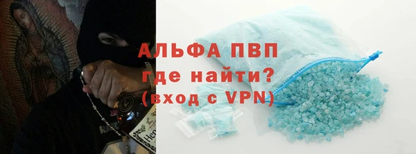 индика Беломорск