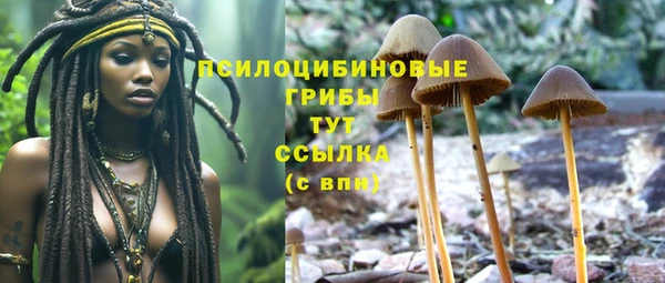 индика Беломорск